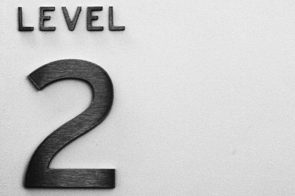 Level 2.