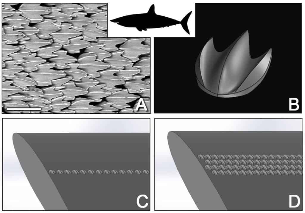 Environmental scanning electron microscope image of denticles from the shortfin mako shark (a) and of the parametric 3D model (b). These denticles were arranged in a wide range of different configurations on an aerofoil, two examples of which are shown here (c,d ). Credit: Harvard University.
