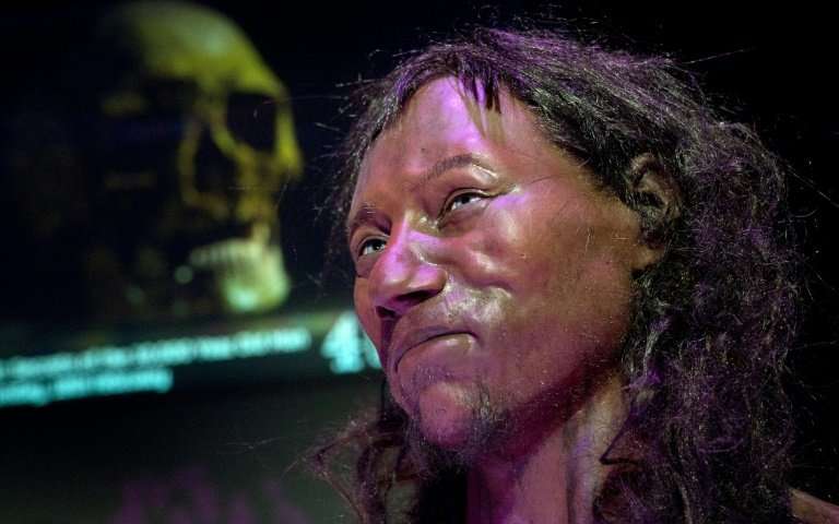 Lifelike reconstruction of 'Cheddar Man'. Credit: Natural History Museum London.