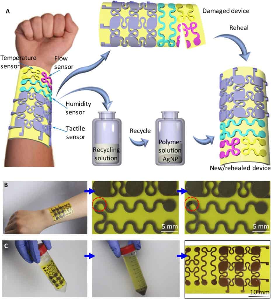 Schematic of e-skin and its uses. Credit: University of Colorado Boulder .