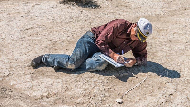 Researchers believe the footprints belong to the Colombian mammoths. Credit: Bureau of Land Management.