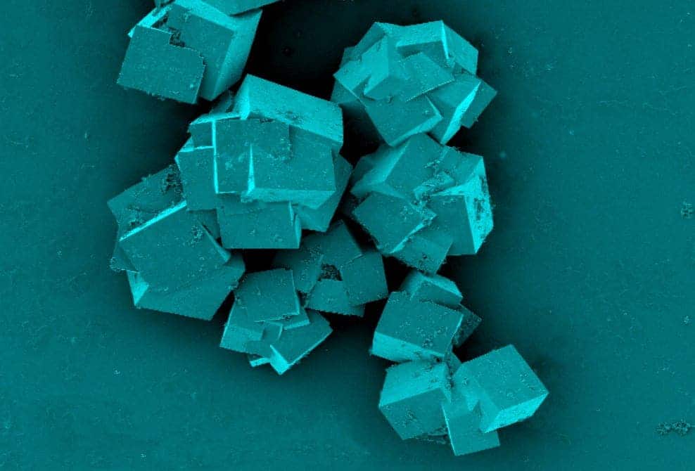 A scanning electron microscope image of metal-organic frameworks used to seaparate seawater into freshwater and lithium. Credit: CSIRO.