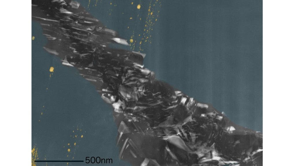 A colorized image shows the diamond phase (blue), inclusions (yellow) and the graphite region. Credit: Dr. F. Nabiei/Dr. E. Oveisi/Prof. C. Hébert, EPFL, Switzerland.