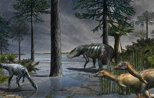A life-scene from 232 million years ago, during the Carnian Pluvial Episode after which dinosaurs took over. A large rauisuchian lurks in the background, while two species of dinosaurs stand in the foreground. Based on data from the Ischigualasto Formation in Argentina. Credit: Davide Bonadonna.
