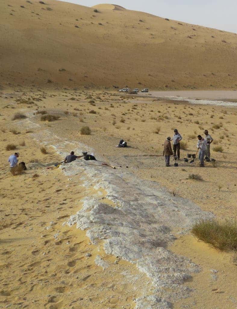 General view of the excavations at the Al Wusta site, Saudi Arabia. The ancient lake bed (in white) is surrounded by sand dunes of the Nefud Desert. Credit: Michael Petraglia