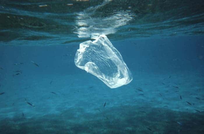Plastic sandwich baggy floating in the water column. Fish that feed on various salps, jelly-fish, etc. mistake such trash for food and can ingest this with fatal consequences. Credit: Ben Mierement, NOAA NOS.