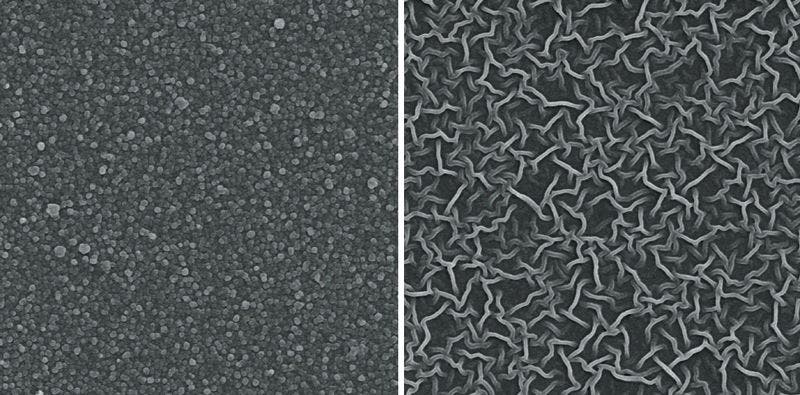 Dot-based and tube-based Turing-type membranes (imaged with electron microcope). Credit: Z. Tan et al./Science