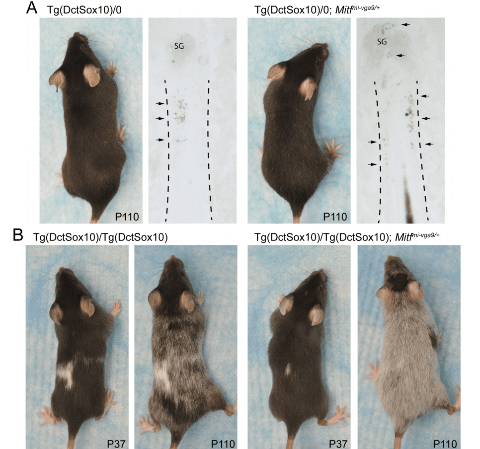 Credit: PLOS Biology.