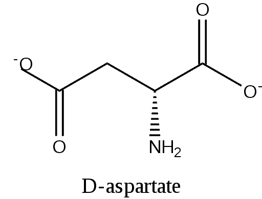 D-Aspartate.