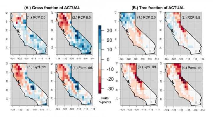 Grassland or forest evolution.