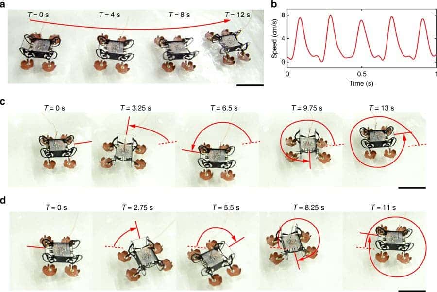 HAMR movement.