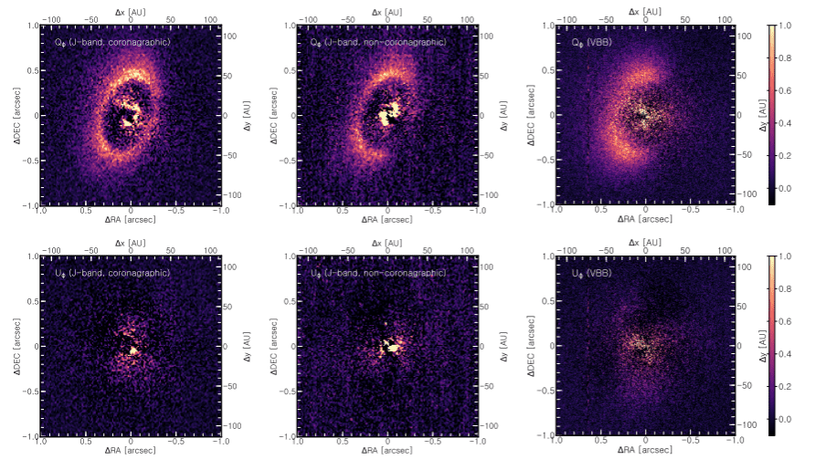 Polarimetric Differential Imaging