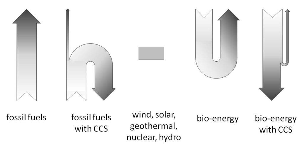Carbon flow diagram.