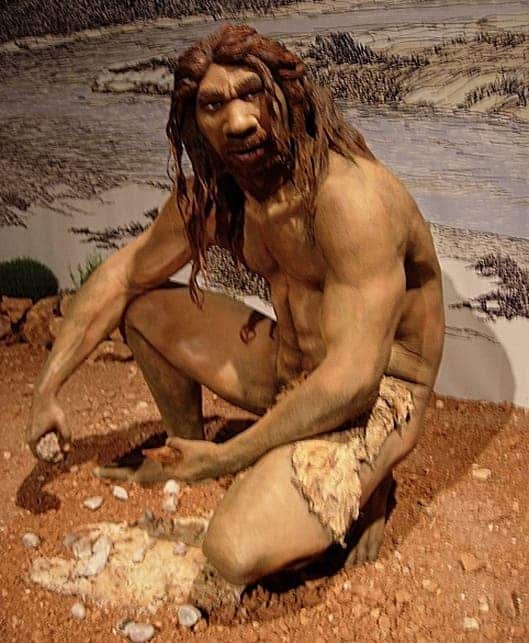A reconstruction of Homo heidelbergensis in Atapuerca. Credit: Wikimedia Commons.
