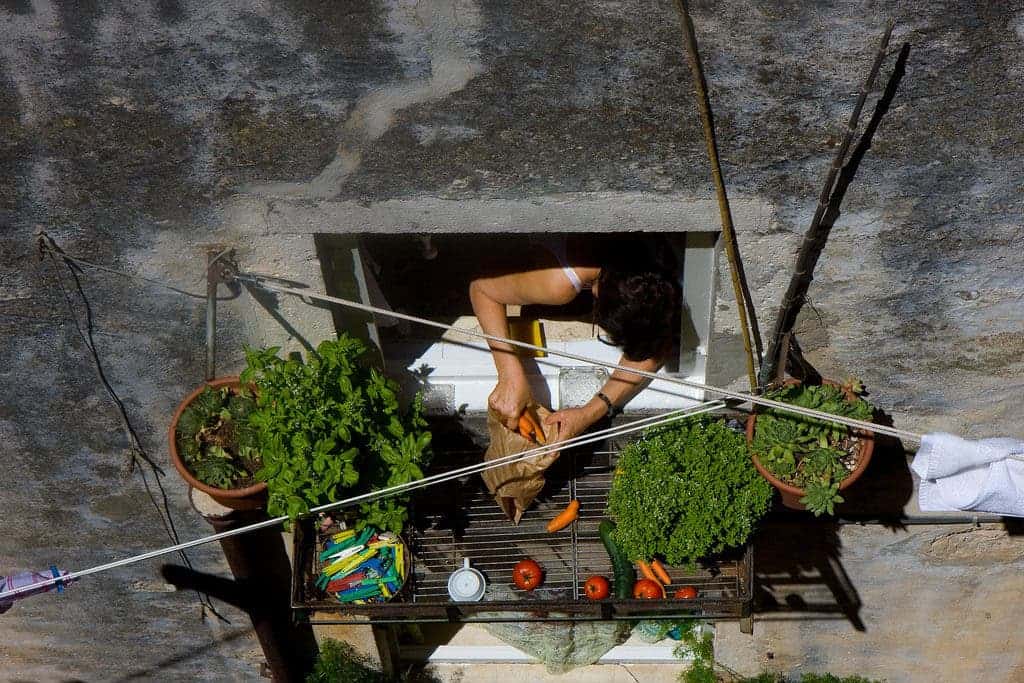 Vegetable balcony.