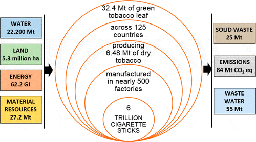 The cultivation of 32.4 Mt of green tobacco used for the production of 6.48 Mt of dry tobacco in the six trillion cigarettes manufactured worldwide in 2014, were shown to contribute almost 84 Mt CO2 equiv emissions to climate change. Credit: Environmental Science and Technoloy.