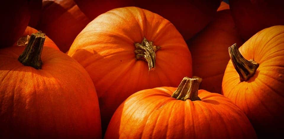 Pumpkins.
