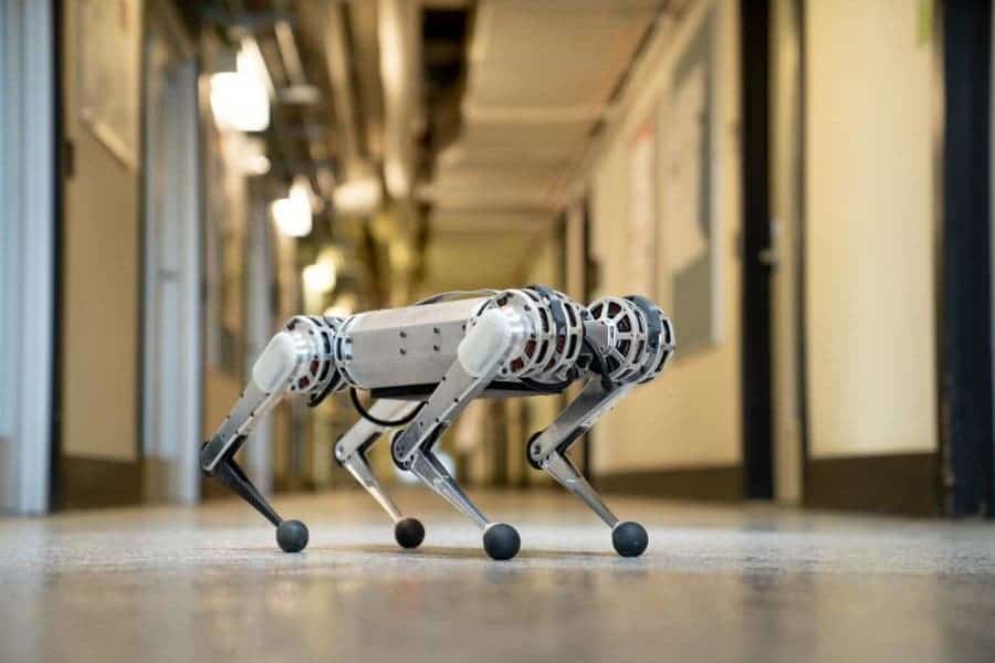 Mini Cheetah.