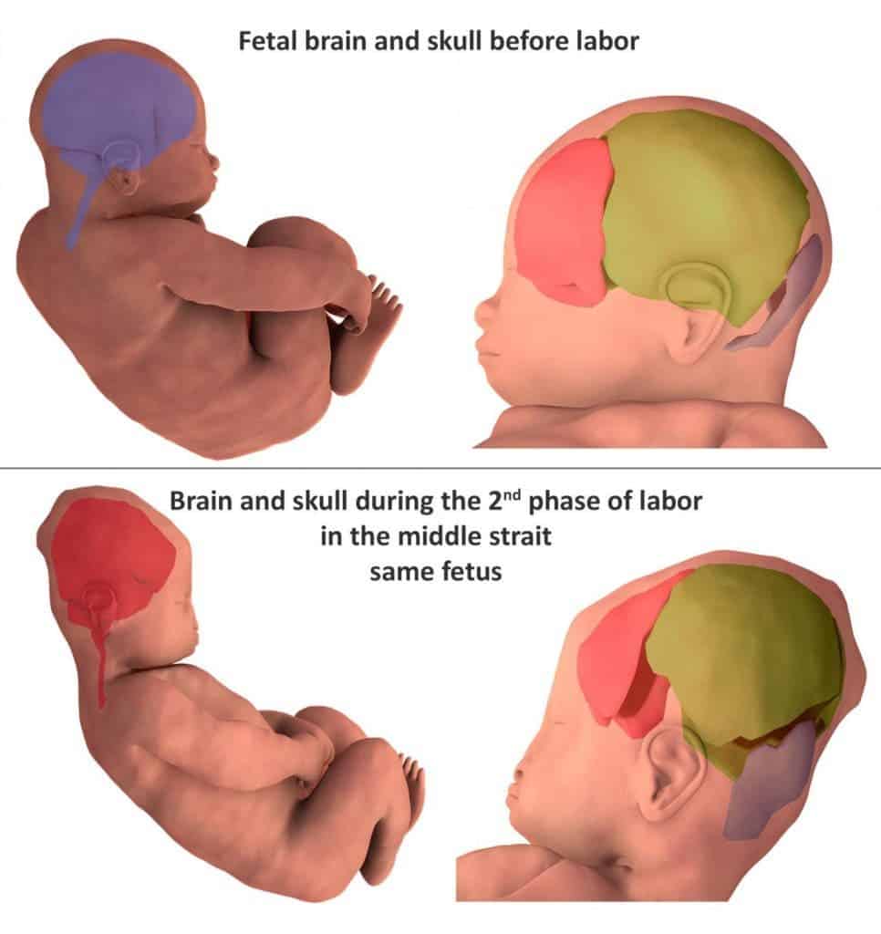 Credit: Ami et al.