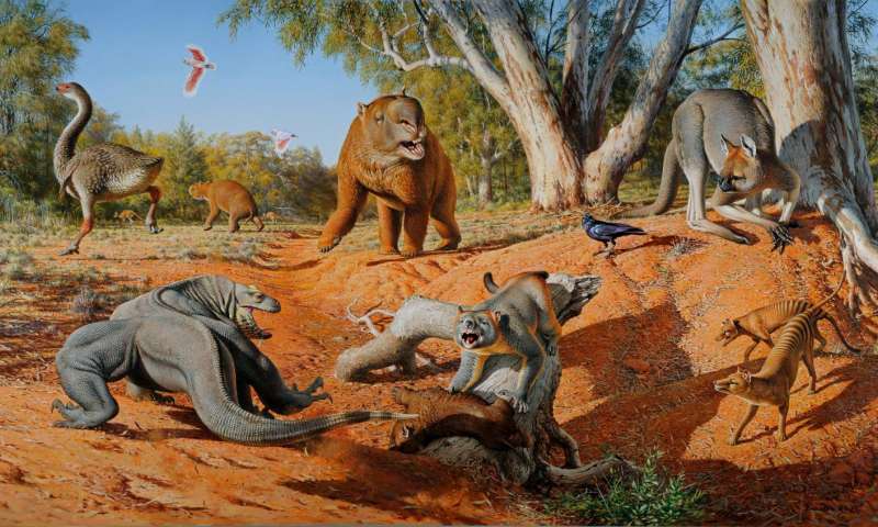 A menagerie of megafauna that inhabited Australia some 45,000 years ago. Credit: Peter Trusler, Monash University.