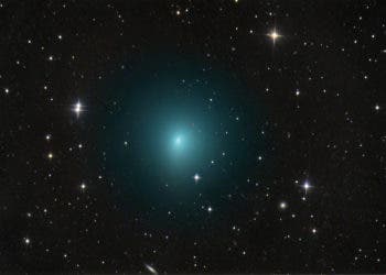 Comet41P