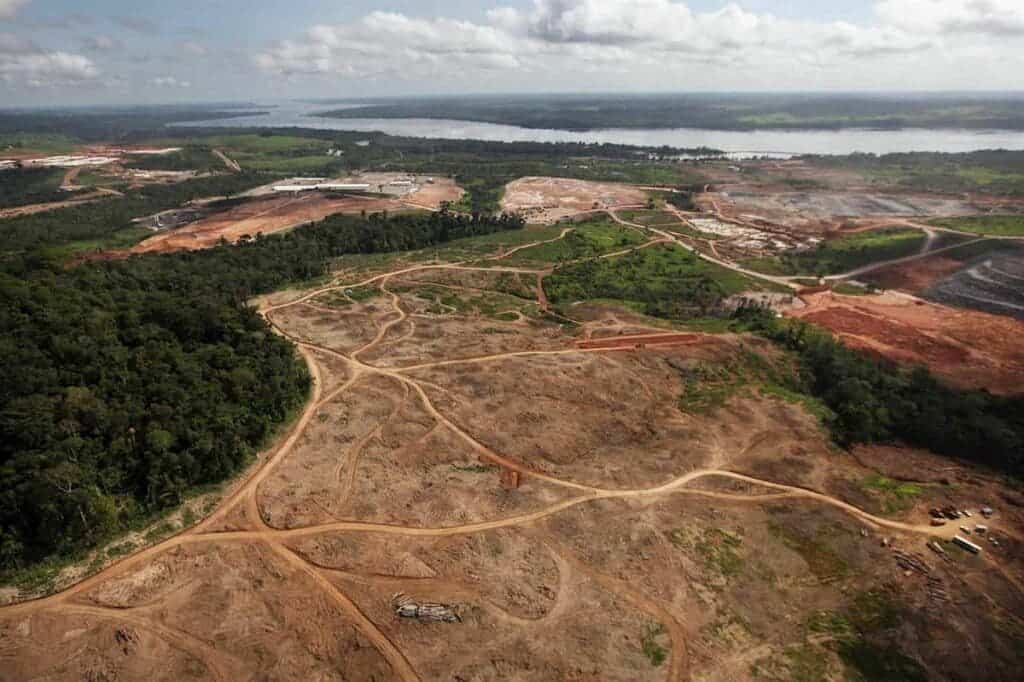 Brazil, Bolivia and Congo were some of the countries with the highest figures last year