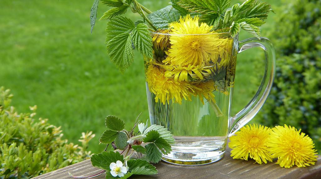 dandelion tea