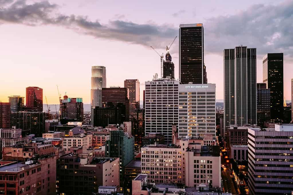 City skyline