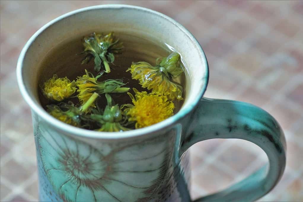 mug of dandelion tea