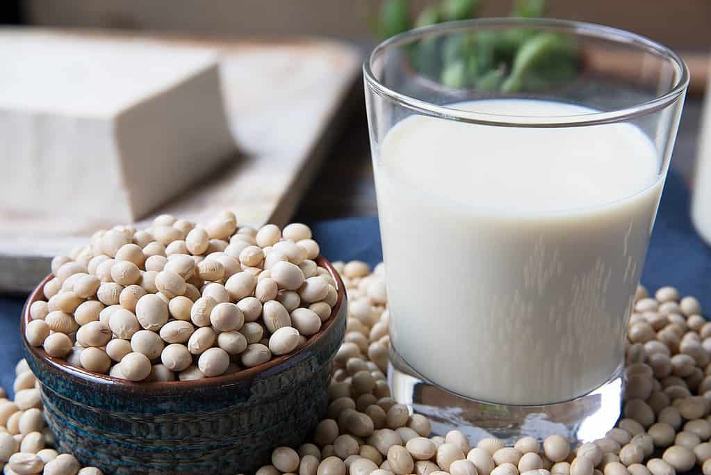 soy milk