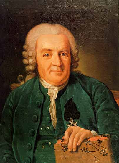 carl linnaeus portrait
