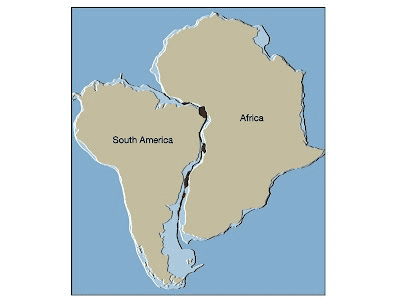continent fit