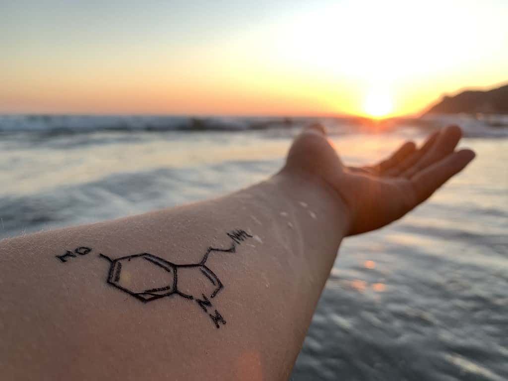 Outstretched hand reaching for the sun with a tattoo of dopamine