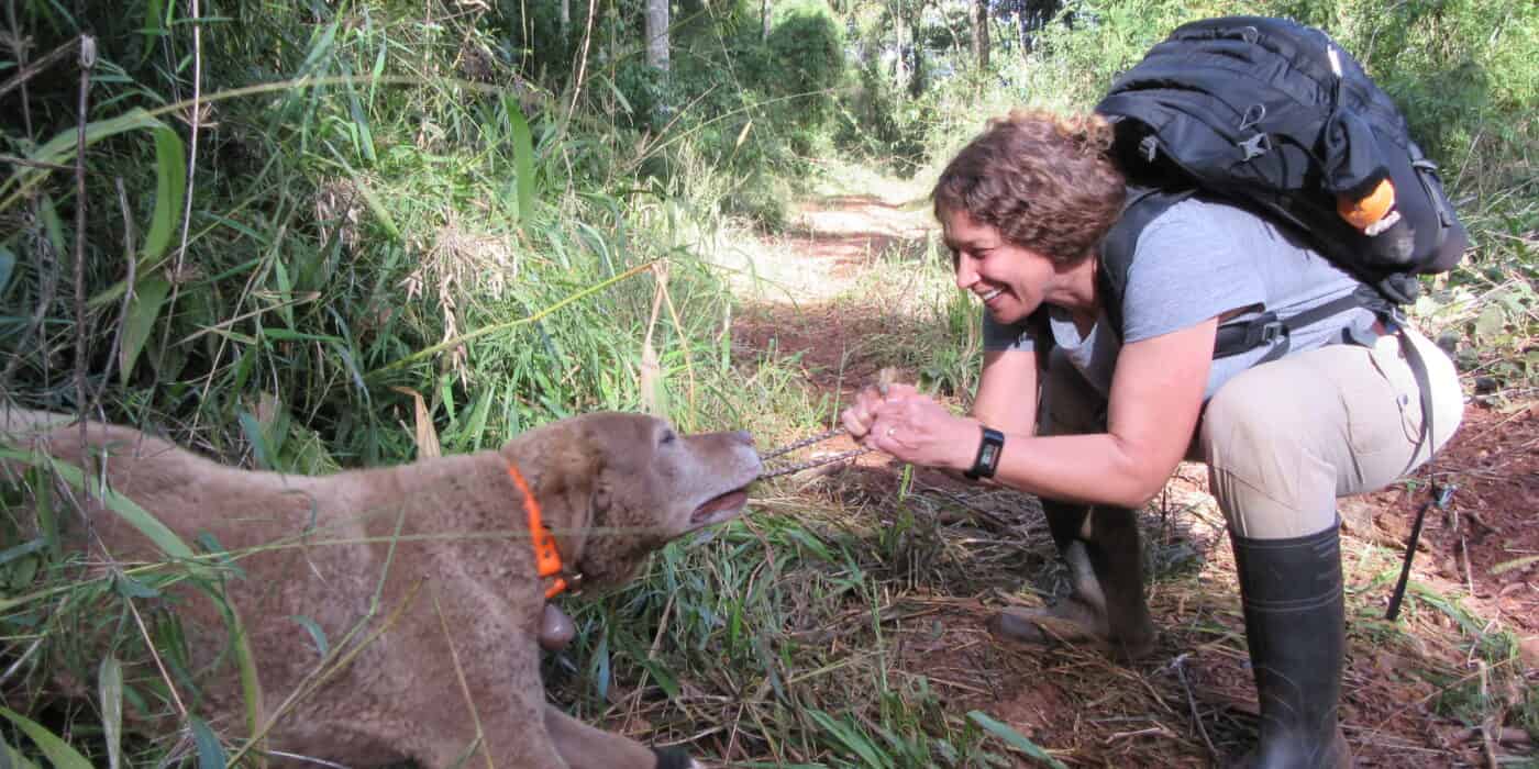 train dog conservation